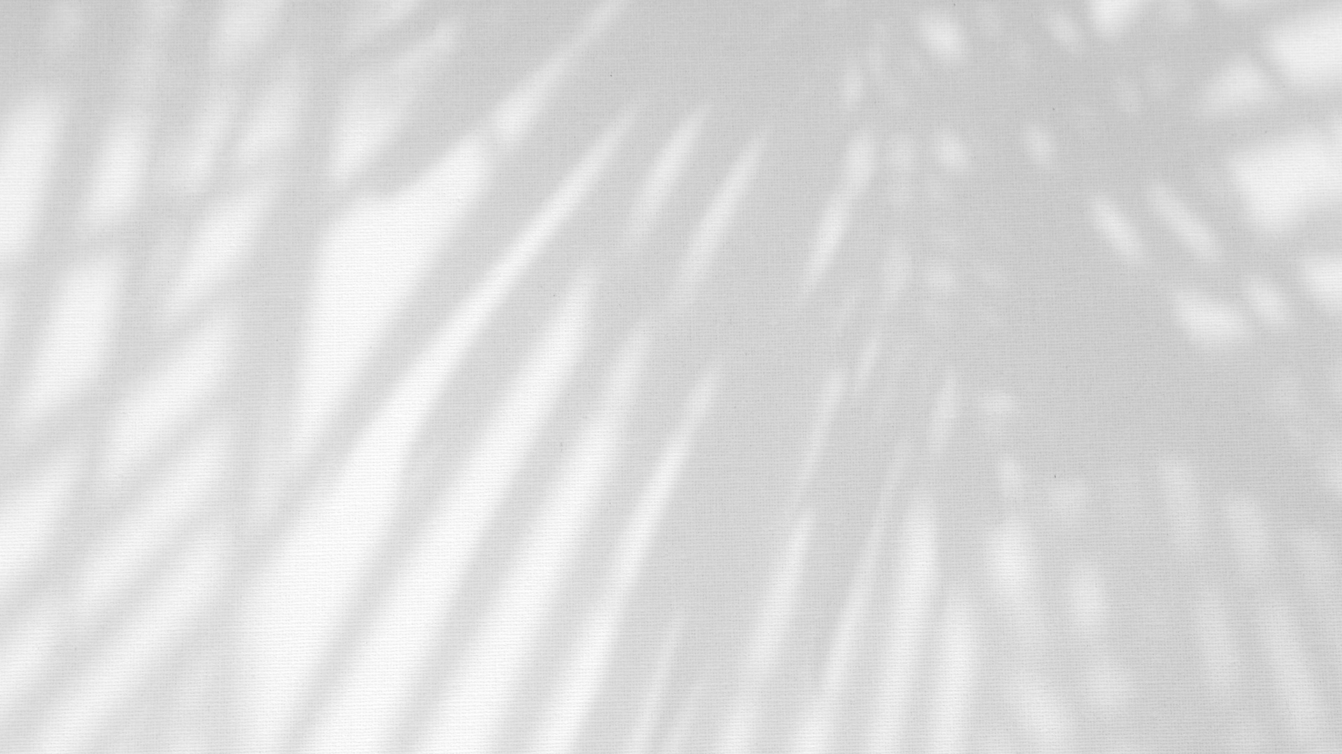 Leaves Natural Shadow Overlay on White Texture Background